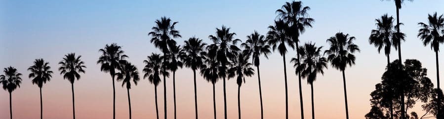 Palm Springs Weather 1 Palm Springs Weather 1